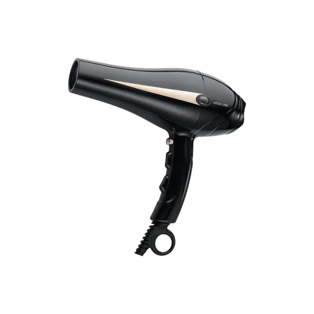 PROFESSIONAL HAIR DRYER